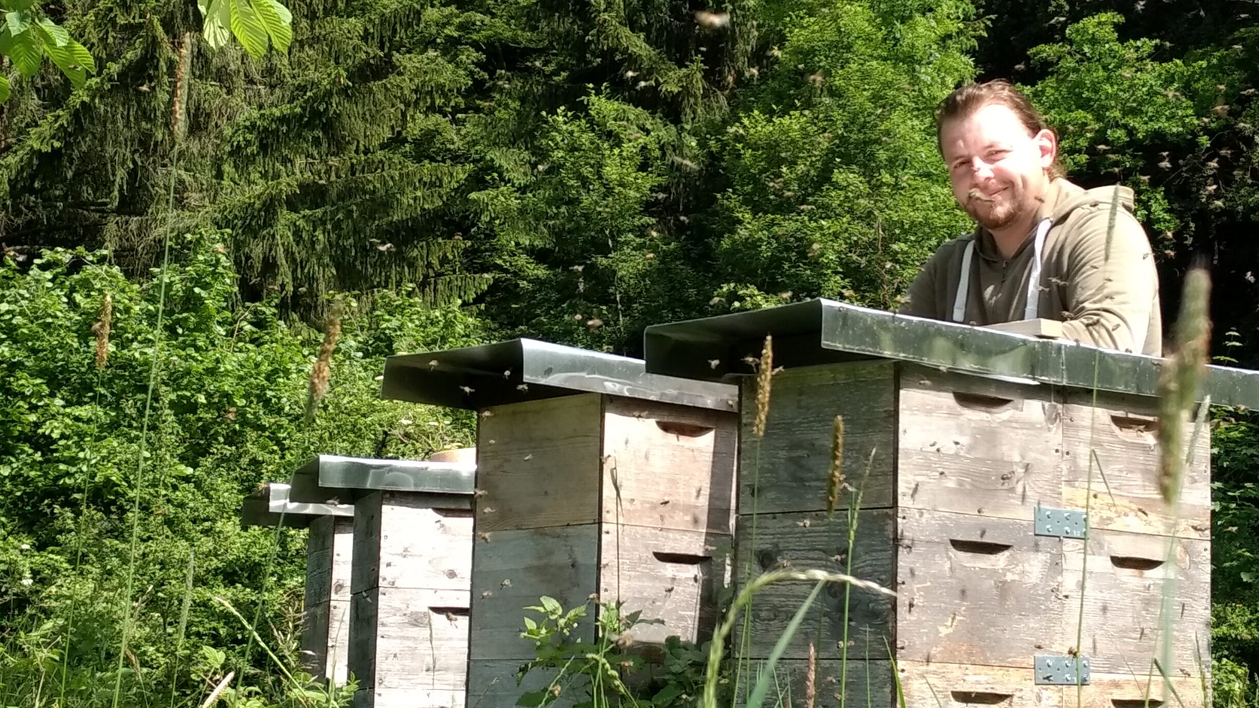 Imker Michael Schachinger steht ohne Imkeranzug hinter seinen Bienenstöcken in einer Waldlichtung, zahlreiche Bienen fliegen in der Luft
