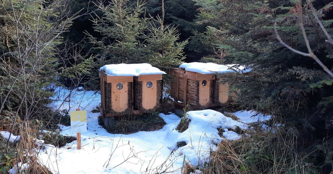 ✨ Es ist die Zeit der Rauhnächte – jene wertvollen Zwischenräume, in denen das Alte...