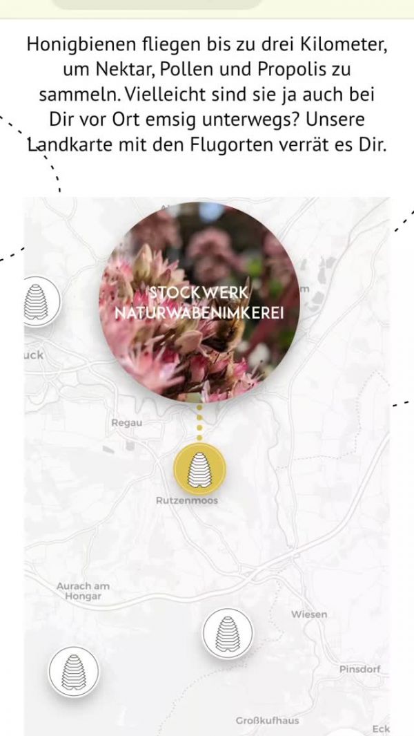 📍Wo fliegen sie denn? 🐝 Habt ihr euch auch schon gefragt, wo unsere Bienen gerade...